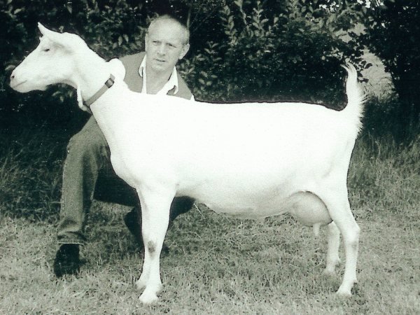 geit004.jpg