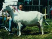 Photo Number 13