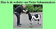 Pieter Schoenmakers